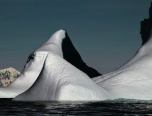 Gestionar riesgos: ¿obligación o convencimiento?